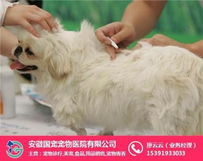 寵物健康與全面關(guān)懷 診療與用品銷(xiāo)售的雙重保障