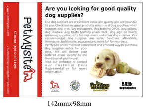 DIY敏捷欄跳躍訓(xùn)練 為迷你雪納瑞打造專屬運(yùn)動(dòng)樂(lè)趣與寵物護(hù)理指南