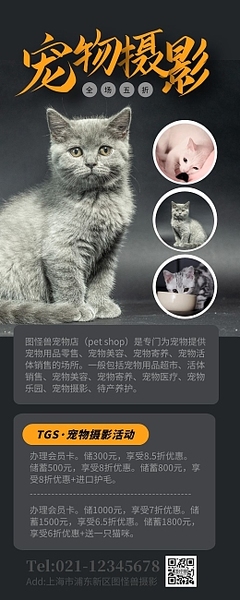 打造高效寵物用品電話銷售模板 在線制作指南與實用技巧