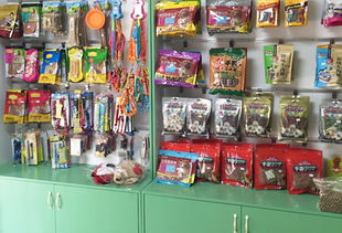 圣寵龍泉佳和銘都寵物連鎖店 一站式寵物用品銷售與服務典范