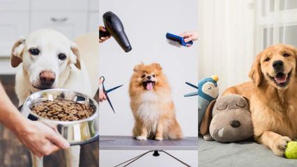 拿捏愛寵心理 “毛孩子”成品牌營銷最大贏家？