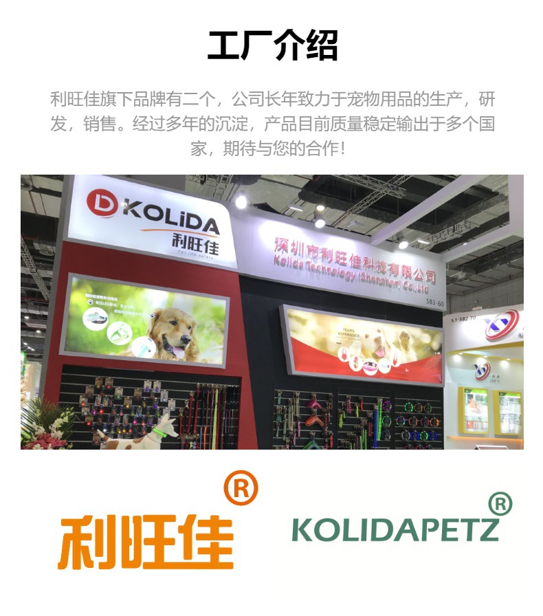 云端漫步，色彩相伴 亞馬遜新款寵物頸圈牽引繩套裝如何以馬卡龍色創意征服市場