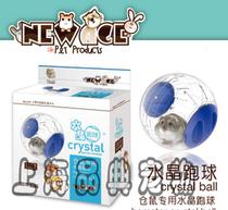 玩具跑球 寵物用品市場中的明星產品與銷售策略